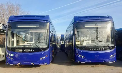 Общественный транспорт Астрахань автобусы  фото