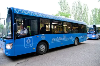 Фото автобусов в хорошем качестве