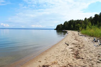 Обское море новосибирск фотографии