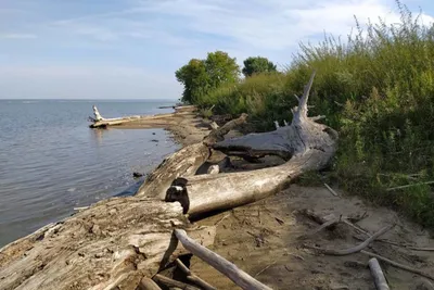 Очарование природы Обского моря на фотографиях