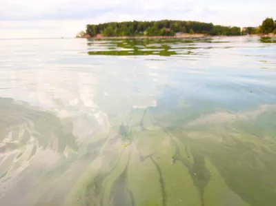 Очаровательные виды Обского моря: арт-фото для настоящих ценителей.