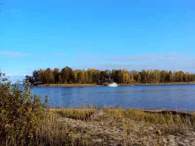 Уникальные снимки подводного мира Обского моря