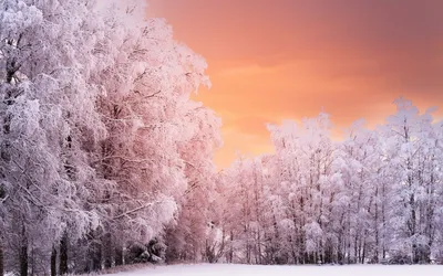 Зимние моменты: Фото Очень красивой зимы JPG