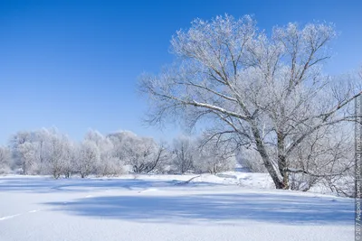 Зимний пейзаж: Изображение Очень красивой зимы в PNG