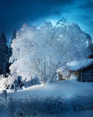 Зимнее чудо: Фото Очень красивой зимы в формате PNG