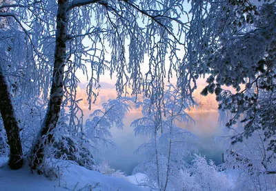 Зимняя гармония: Фотография Очень красивой зимы