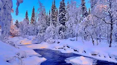 Зимнее волшебство в JPG: Очень красивая зима
