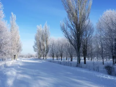 Зимний калейдоскоп в WebP: Очень красивая зима