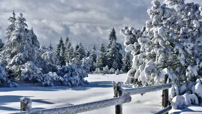 Зимний артколлаж: Очень красивая зима - JPG