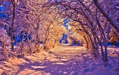 Зимняя карусель: Изображение Очень красивой зимы в WebP