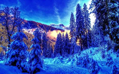Зимний пейзаж в WebP: Очень красивая зима
