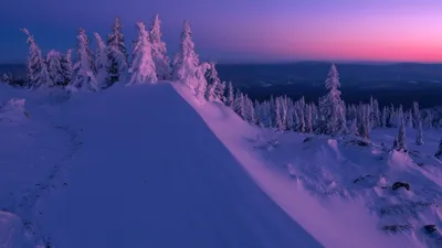 Зимние краски: Фото Очень красивой зимы