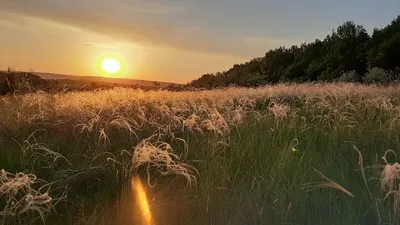 Волшебство заката: бесплатно скачивайте фото в высоком разрешении.