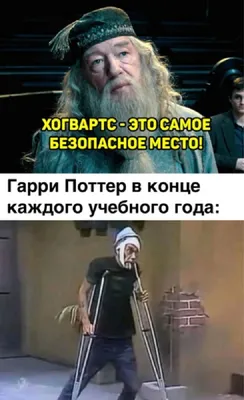 Смешные сюжеты, запечатленные на фото 