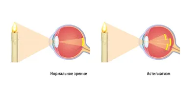 Невероятные фотографии без надписей: каждая картинка - отдельный шедевр!