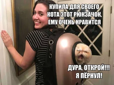 Новые смешные фотографии для вашего дня.