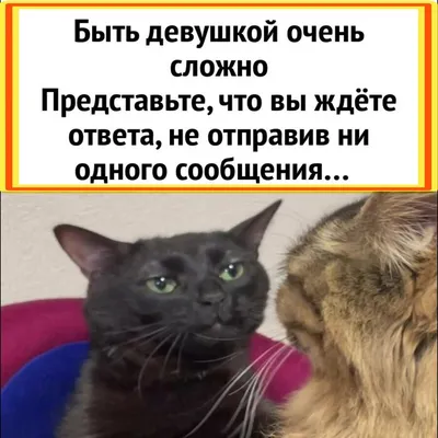 Фотографии, которые рассмешат на тему любви