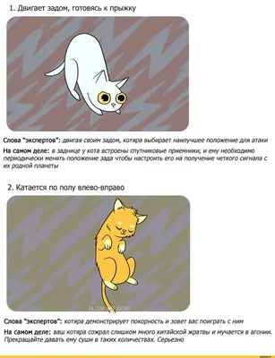 Очень смешные картинки с кошками