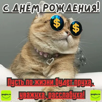 Фото кошек, которые поднимут вам настроение