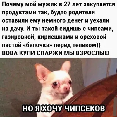 Портреты с уникальным юмором на фото