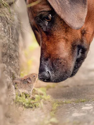 Невероятно смешные люди на фото в формате PNG