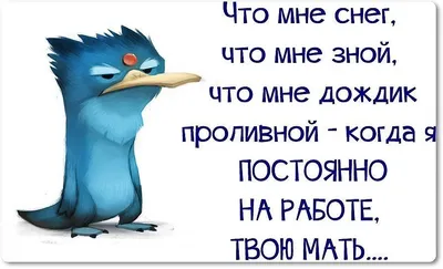 Забавные статусы в картинках: улыбнитесь вместе с нами!