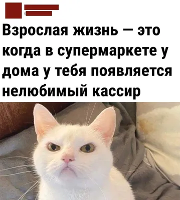 Неудержимо смешные изображения