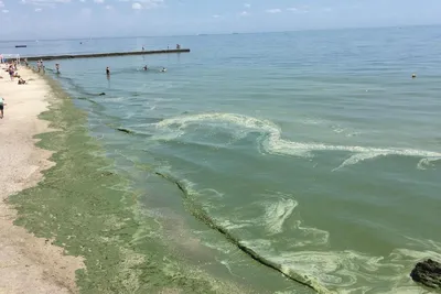 Фото на айфон: прекрасная Одесса, море и пляж