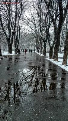 Фотографии зимнего настроения в Одессе: Выберите свой формат