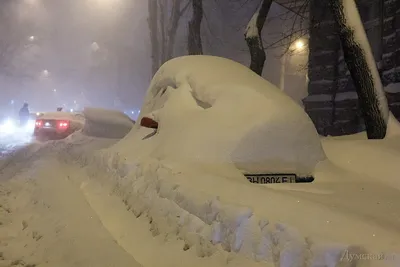 Одесса заснеженная: Скачайте фото в разных форматах