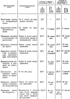 Уникальные картинки пчелы в HD качестве