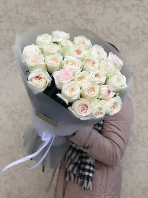 Фотография с розами на белом фоне.