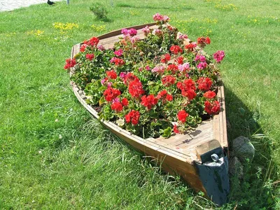 Уникальные изображения оформления клумбы с розами для скачивания