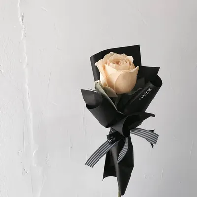 Фотография розы с прозрачным фоном в формате png