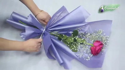 Романтическое изображение розы для скачивания