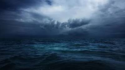 Подводное волшебство: Очарование океанских глубин в каждом фото