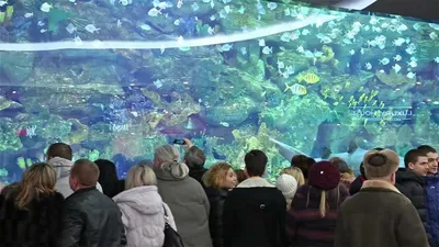 Подводное волшебство: Фотоэкскурсия в Океан Плаза Киев