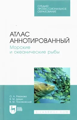 Ошеломляющие фото океанических рыб: ждут вас на нашем сайте