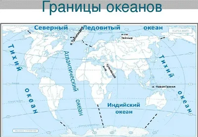 HD рисунки океанских видов: 2024 в каждом пикселе