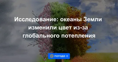 Скачать бесплатно: океанские сокровища в высоком разрешении