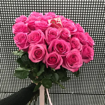 Фотография розы с шикарным освещением