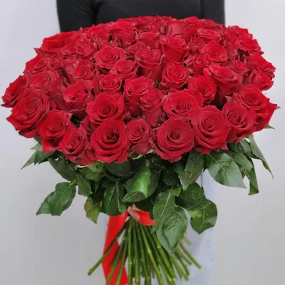 Прекрасное фото розы в формате jpg
