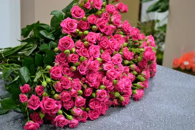 Фотография розы с прекрасными деталями