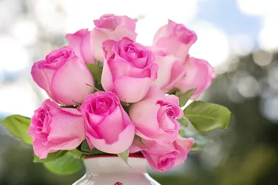 Изображение розы, которая наполняет воздух ароматом