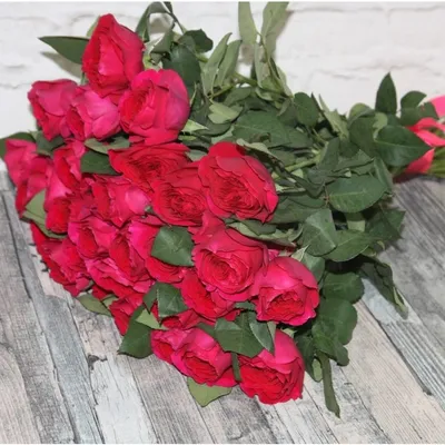 Фотография розы с элегантным и роскошным видом
