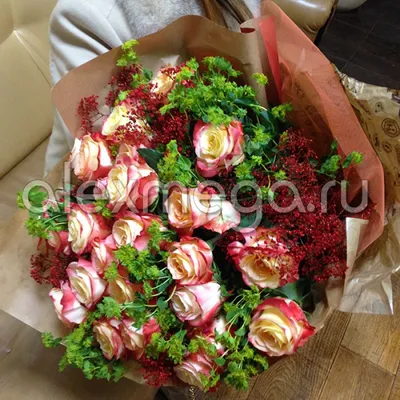 Фото розы с яркими и насыщенными цветами в формате jpg