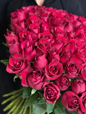 Фотка розы с насыщенными цветами