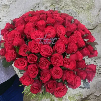 Великолепное фото розы в формате webp