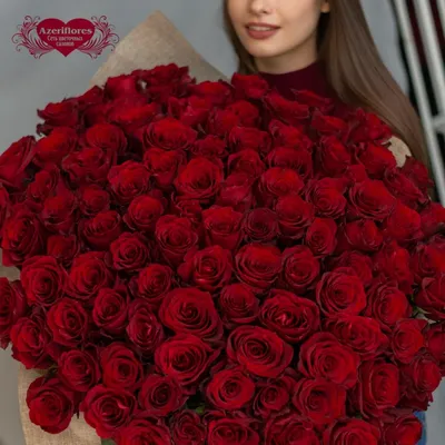 Фото розы с уникальным ракурсом и глубиной цвета