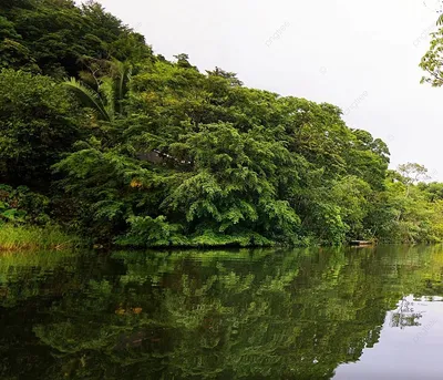 Фотография красивого заката над горами